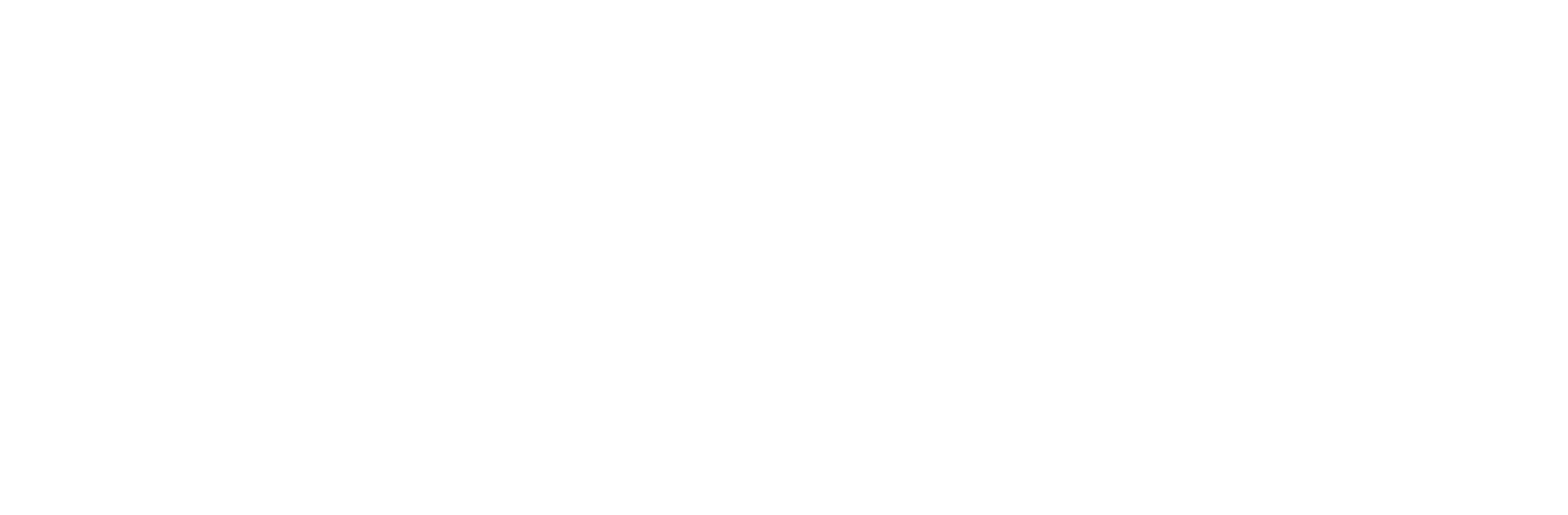 Logo Footer